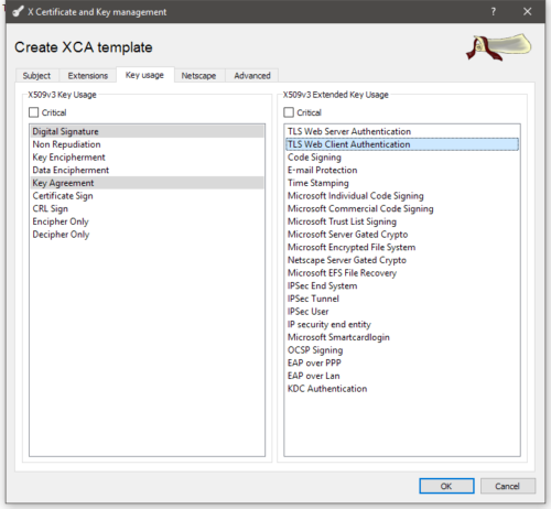 openvpn-template-key-usage-client