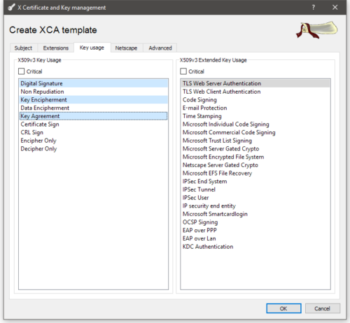 openvpn-template-key-usage-server